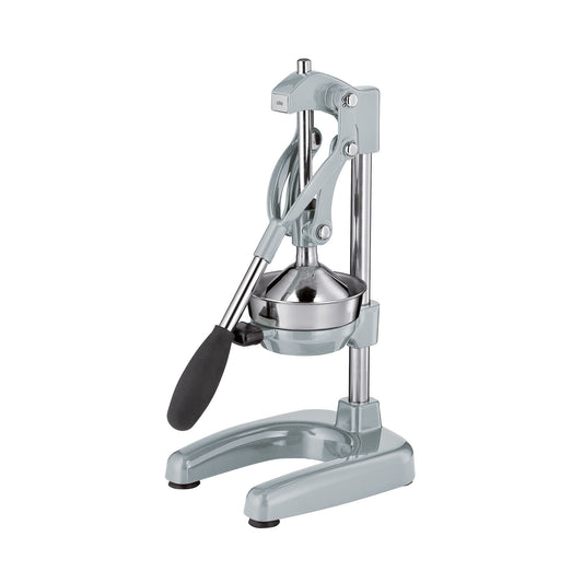 Profi-Saftpresse AMALFI, silber