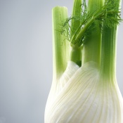 1_07_spice_fennel