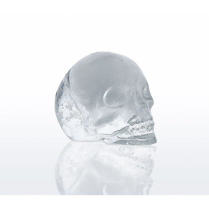 Eiswürfelform CRANIO - Ansicht 2