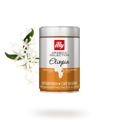 illy Arabica Selection Äthiopien Kaffeebohnen 250 g