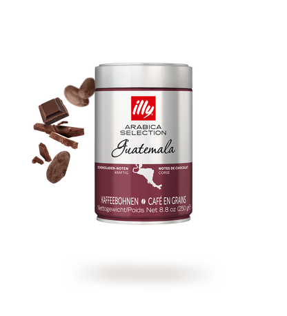 illy Arabica Selection Guatemala Kaffeebohnen 250 g