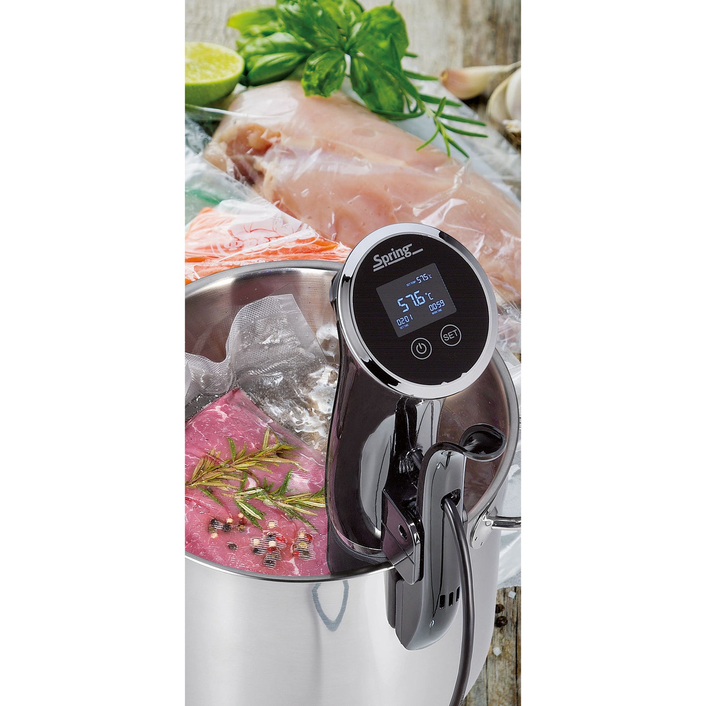 Sous Vide-Stick PROFESSIONAL